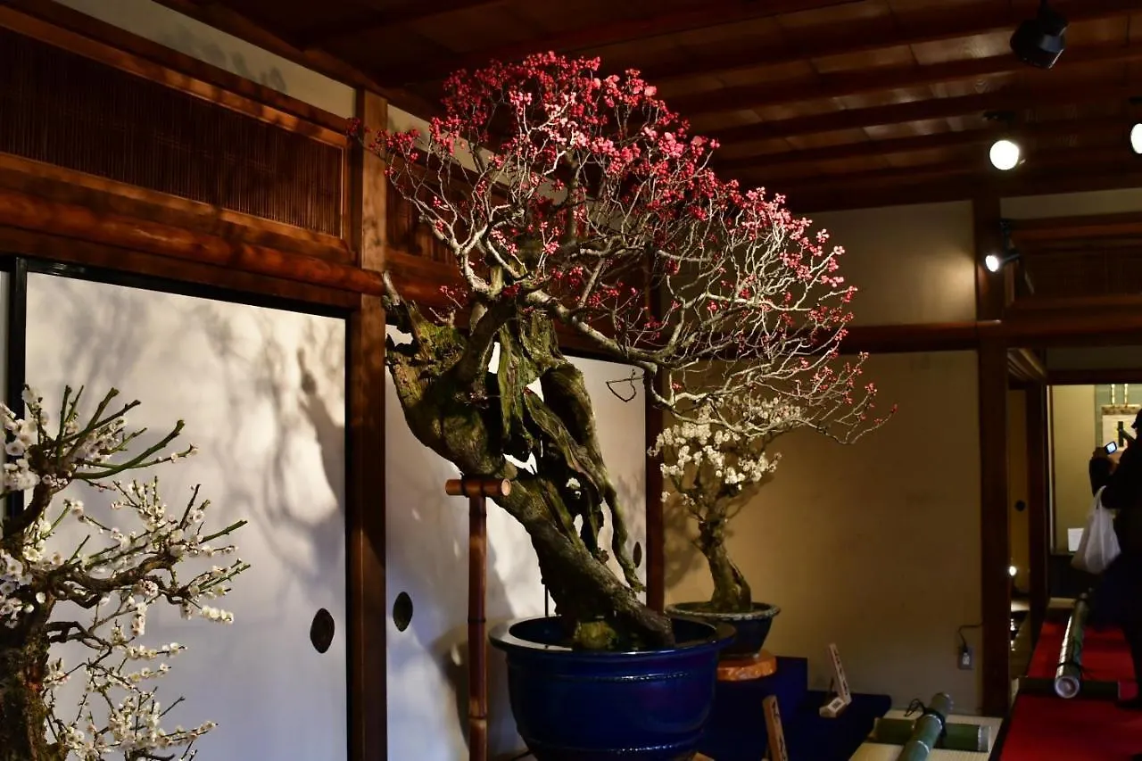 Cozy House 402 Free Wifi A Rented Electric Bicycle Apartment Kyoto
